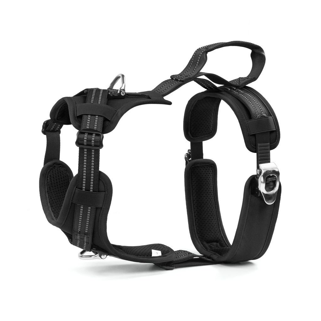 Docs Dogs Ratchet Strap Harness