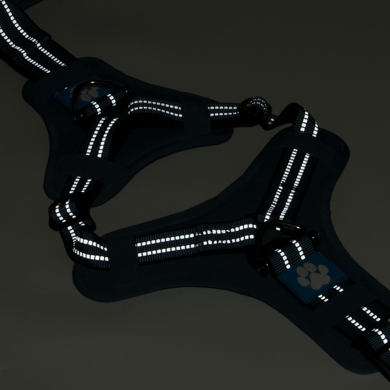 Docs Dogs Ratchet Strap Harness