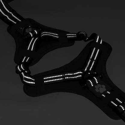 Tactical Y-collar Harness