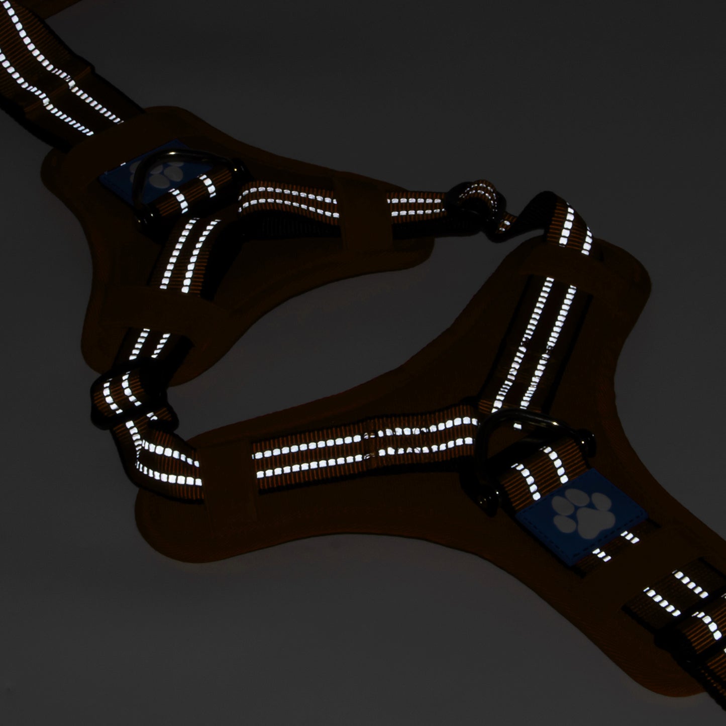 Tactical Y-collar Harness