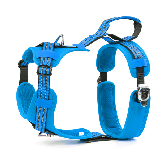 Tactical Y-collar Harness