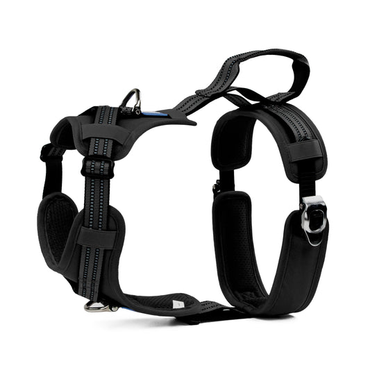 Tactical Y-collar Harness
