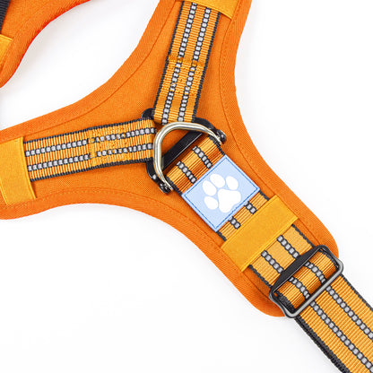 Tactical Y-collar Harness