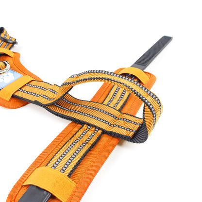 Tactical Y-collar Harness