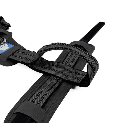 Tactical Y-collar Harness