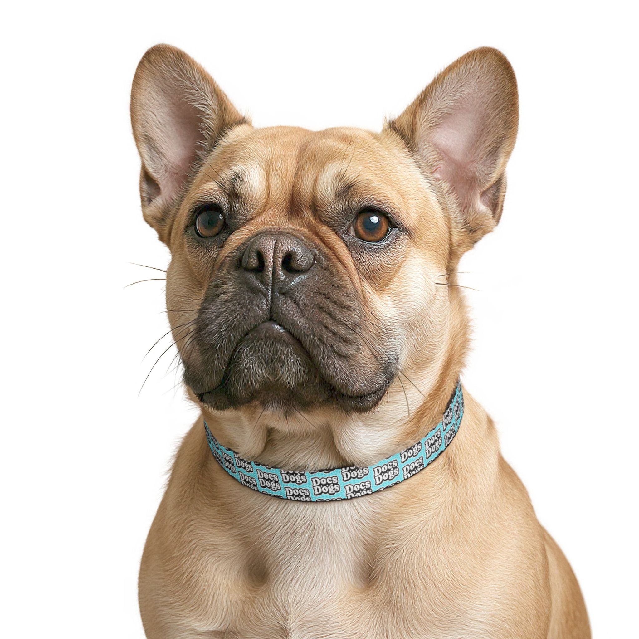 Clip-On Dog Collar — Teal 'Dogs' Pattern