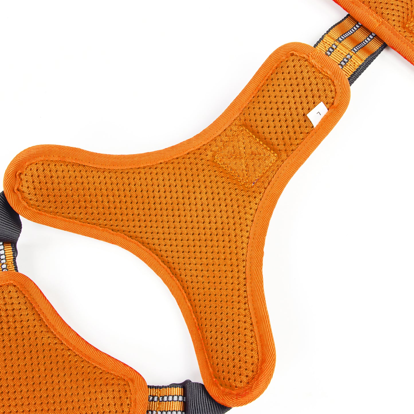 Tactical Y-collar Harness