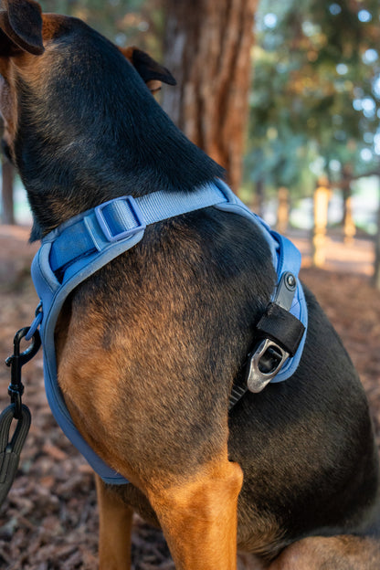 Lycra double-padded Harness