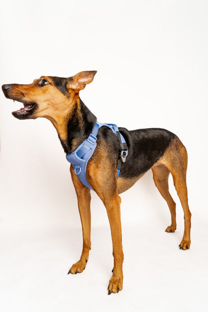 Lycra double-padded Harness