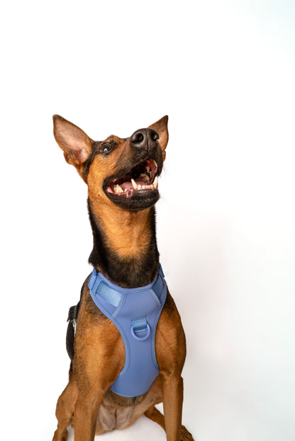 Lycra double-padded Harness