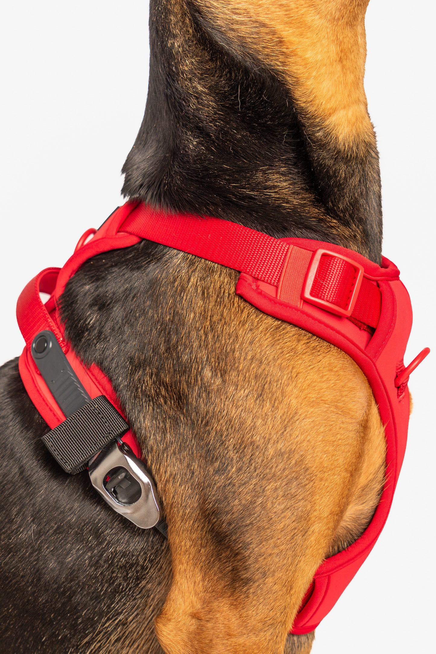 Lycra double-padded Harness